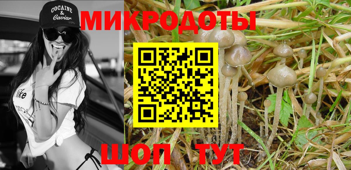 Балашиха  Галлюциногенные грибы мицелий  Галлюциногенные грибы прущие грибы  Вход с VPN 