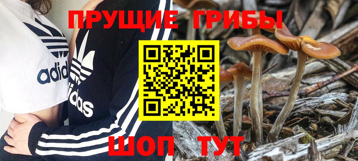 Балашиха  Вход с VPN  Лсд 25  Меф МЯУ МЯУ   ГАШ  Марихуана  АМФЕТАМИН кристаллы 
